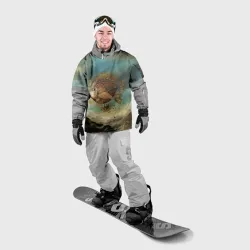 Накидка на куртку 3D Рыба-дирижабль