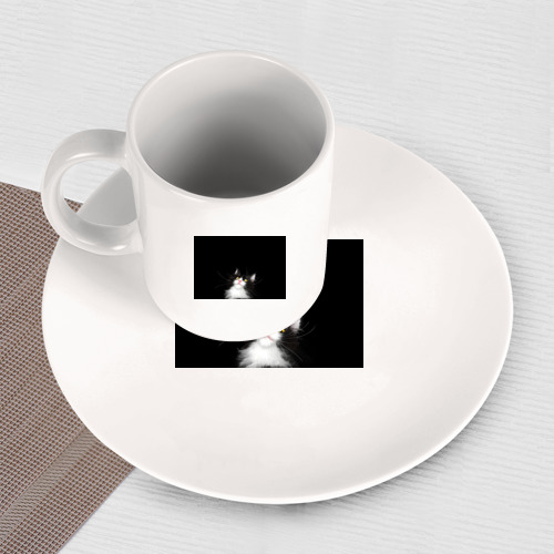 Набор: тарелка + кружка Кот чёрный с белой мордочкой - фото 3