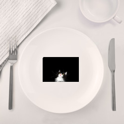 Набор: тарелка + кружка Кот чёрный с белой мордочкой - фото 2