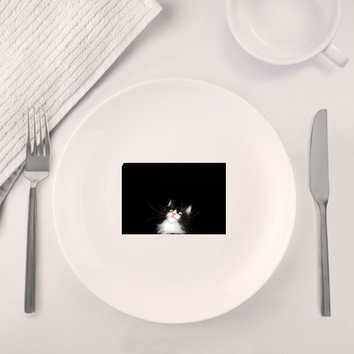 Набор: тарелка + кружка Кот чёрный с белой мордочкой - фото 4
