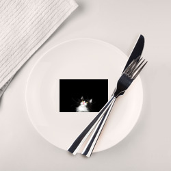 Тарелка Кот чёрный с белой мордочкой