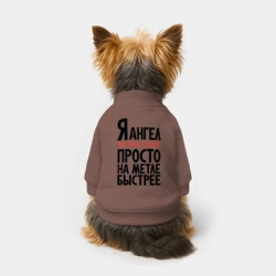 Свитшот для собак хлопок На метле быстрее - фото 2
