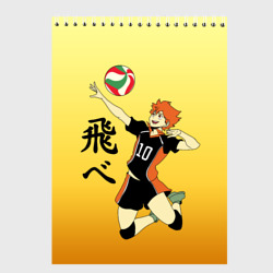 Скетчбук Fly High Haikyuu!!