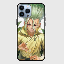 Чехол для iPhone 13 Pro Max Доктор Стоун