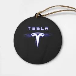 Деревянная игрушка круг Tesla