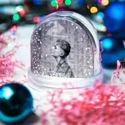 Игрушка Снежный шар Ваня Дмитриенко - фото 2
