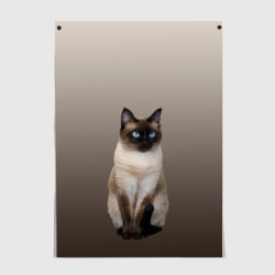 Постер Сиамский кот голубые глаза