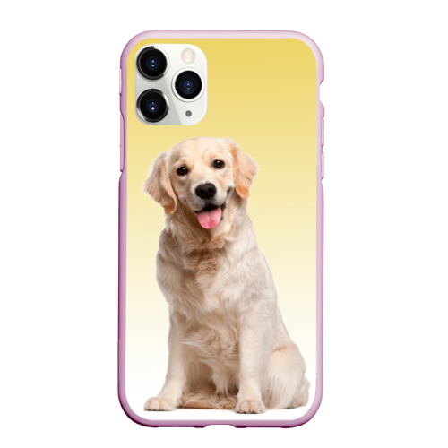 Чехол для iPhone 11 Pro матовый Лабрадор ретривер пес