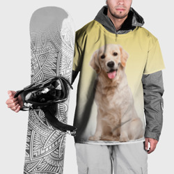 Накидка на куртку 3D Лабрадор ретривер пес