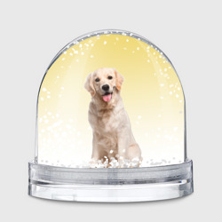 Лабрадор ретривер пес – Игрушка Снежный шар с принтом купить со скидкой в -20%