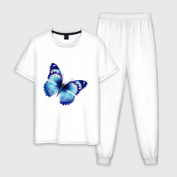 Мужская пижама хлопок Синяя бабочка