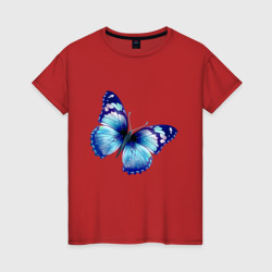 Женская футболка хлопок Синяя бабочка