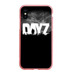 Чехол для iPhone XS Max матовый DayZ Дейзи