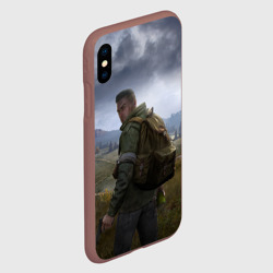 Чехол для iPhone XS Max матовый DayZ poster Дейзи постер - фото 2