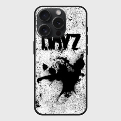 Чехол силиконовый для Apple iPhone 15 Pro матовый DayZ
