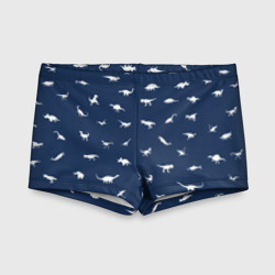 Детские купальные плавки 3D Dinoworld#2