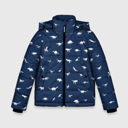 Зимняя куртка для мальчиков 3D Dinoworld#2