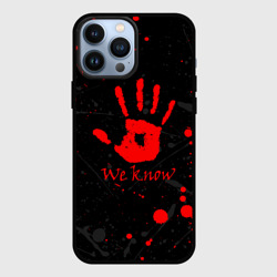 Чехол для iPhone 13 Pro Max We know TES