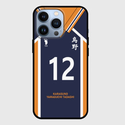 Чехол для iPhone 13 Pro Karasuno 12 форма Карасуно