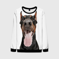 Мужской свитшот 3D Доберман Doberman