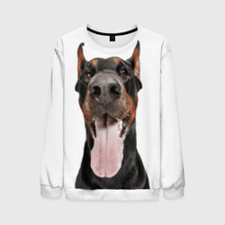 Мужской свитшот 3D Доберман Doberman