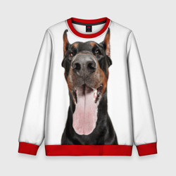 Детский свитшот 3D Доберман Doberman