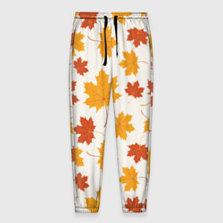 Мужские брюки 3D Осень Autumn