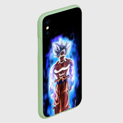 Чехол для iPhone XS Max матовый Когу символ на спине - фото 2
