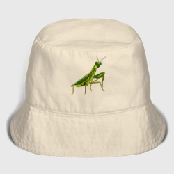 Детская панама хлопок Богомол