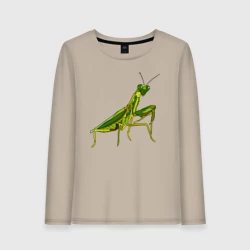 Женский лонгслив хлопок Богомол