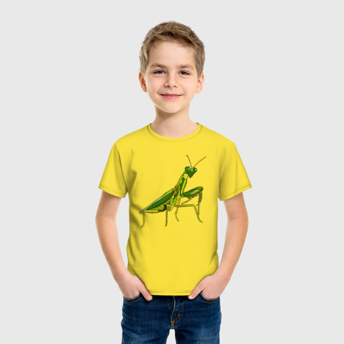 Детская футболка хлопок Богомол, цвет желтый - фото 3
