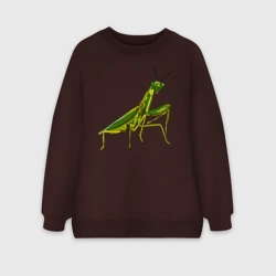 Женский свитшот oversize без начеса хлопок Богомол