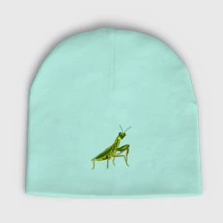 Детская шапка демисезонная Богомол