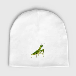 Детская шапка демисезонная Богомол