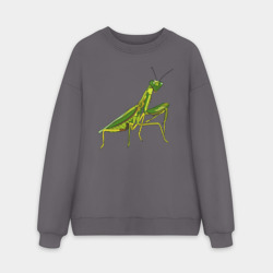 Мужской свитшот oversize без начеса хлопок Богомол