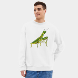 Мужской свитшот oversize без начеса хлопок Богомол - фото 2