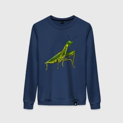 Женский свитшот хлопок Богомол