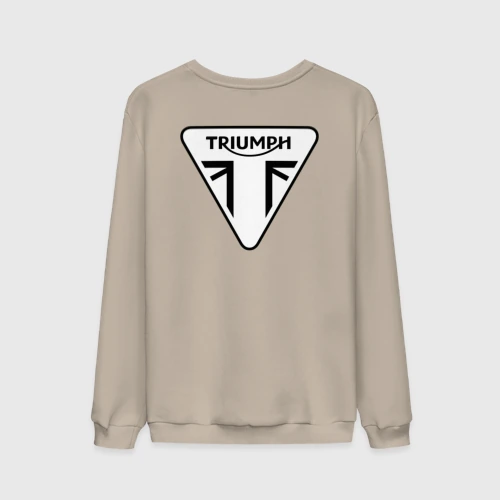 Мужской свитшот хлопок Triumph логотип
