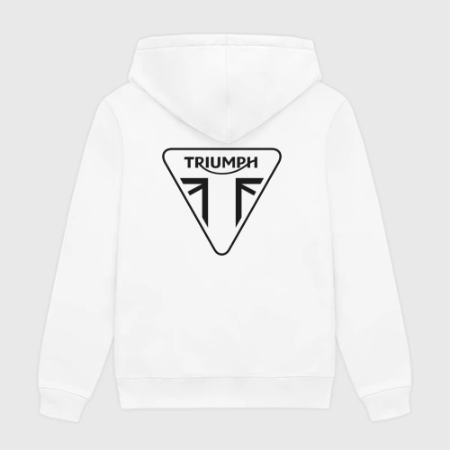 Мужская толстовка хлопок Triumph логотип