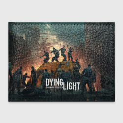 Обложка для студенческого билета Dying Light