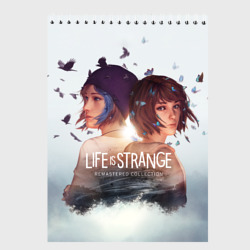 Скетчбук Life is Strange Remaster