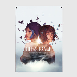 Life is Strange Remaster – Постер с принтом купить