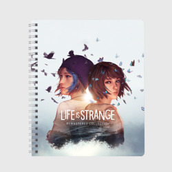 Тетрадь Life is Strange Remaster