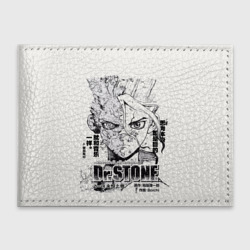 Обложка для студенческого билета Dr. Stone Senkuu