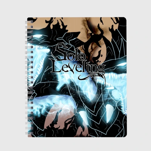 Тетрадь Solo leveling