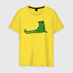 Мужская футболка хлопок Лягушка приуныла