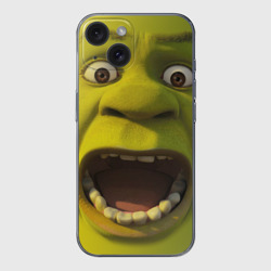 Чехол для iPhone 15 силиконовый с защитой камеры Shrek is yelling