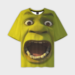 Мужская футболка oversize 3D Shrek is yelling