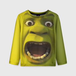 Детский лонгслив 3D Shrek is yelling