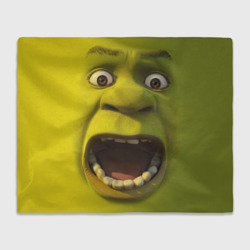 Плед 3D Shrek is yelling